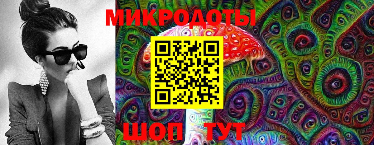 Псилоцибиновые грибы мицелий Новошахтинск